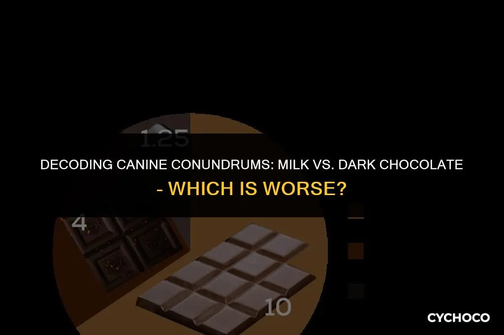 is milk or dark chocolate worse for dogs