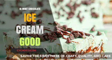 Is Mint Chocolate Ice Cream Good? A Tasty Debate Explored
