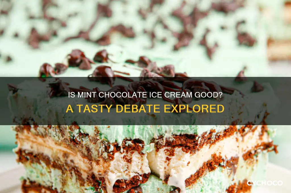 is mint chocolate ice cream good