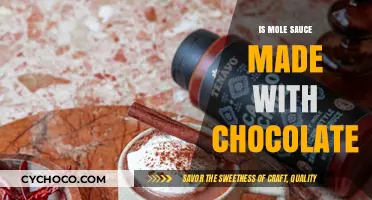 Mole Sauce and Chocolate: Unraveling the Sweet Myth Behind the Recipe