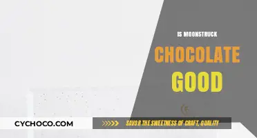 Is Moonstruck Chocolate Worth the Hype? A Tasty Review