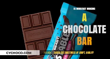 MrBeast's Sweet Venture: Crafting the Ultimate Chocolate Bar
