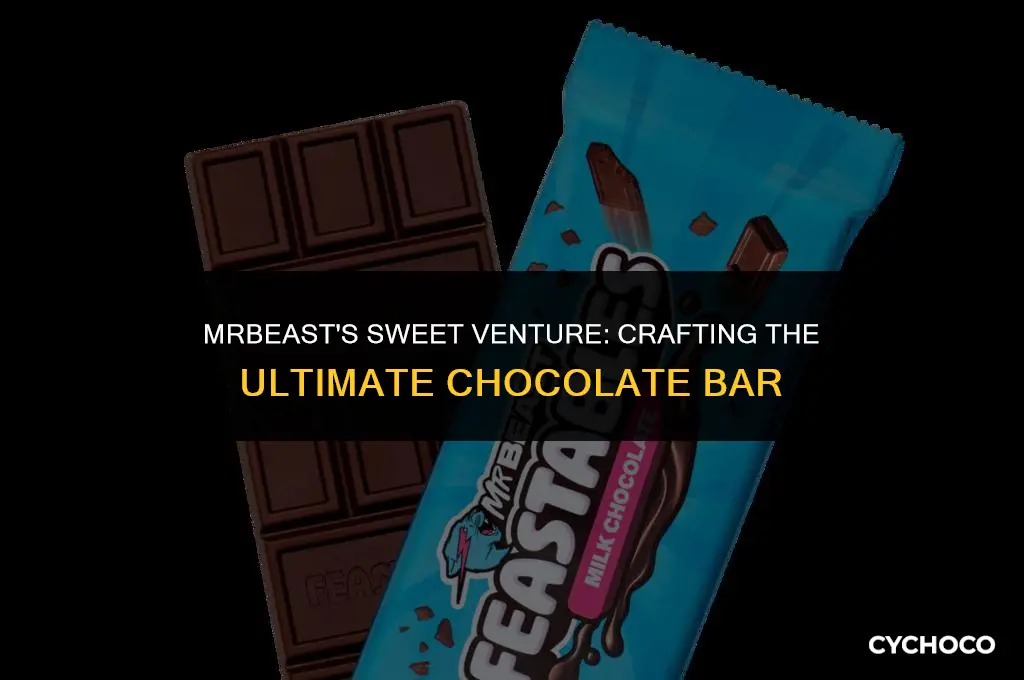 is mrbeast making a chocolate bar