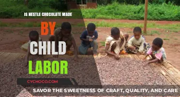 Nestlé Chocolate and Child Labor: Uncovering the Bitter Truth