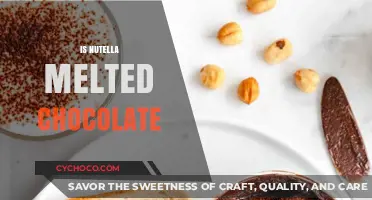 Is Nutella Melted Chocolate? Unraveling the Sweet Spread Mystery