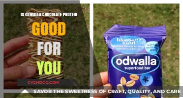 Is Odwalla Chocolate Protein Healthy? Benefits and Nutritional Breakdown