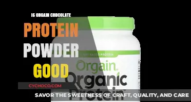 Is Orgain Chocolate Protein Powder Worth It? A Detailed Review