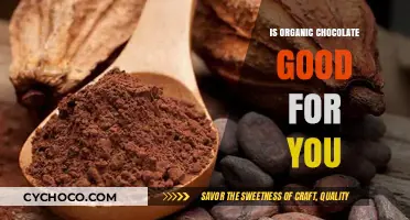 Organic Chocolate: Health Benefits, Nutrition, and Smart Indulgence Tips