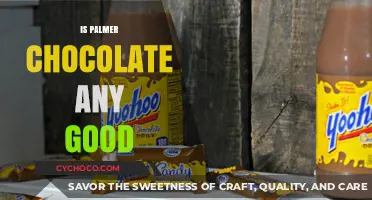 Is Palmer Chocolate Worth It? A Tasty Review and Analysis
