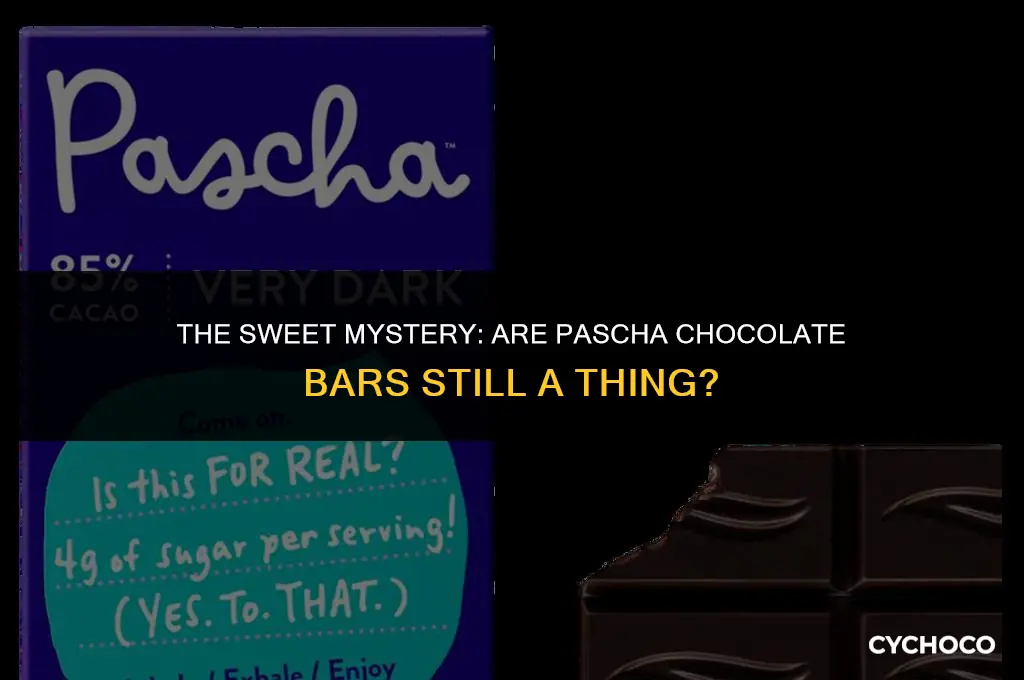 is pascha chocolate bars still available
