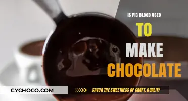 The Sweet and the Gory: Unraveling the Myth of Pig Blood in Chocolate
