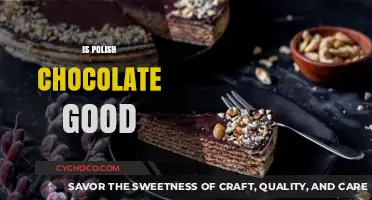 Exploring the Richness of Polish Chocolate: A Taste Adventure