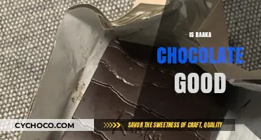 Exploring the Richness: Is Raaka Chocolate a Gourmet Delight?