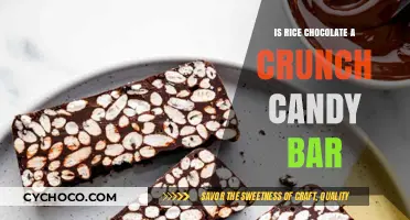 Exploring the Unique Texture of Rice Chocolate Crunch Bars