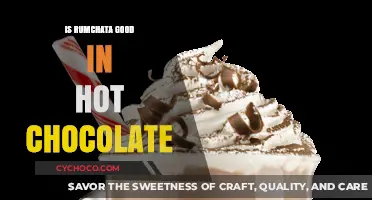 Indulgent RumChata: Elevating Hot Chocolate to New Heights