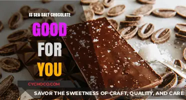 Indulge in Sea Salt Chocolate: A Surprising Health Treat?
