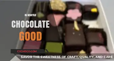 Exploring the Richness of Seattle's Chocolate Scene: A Taste Test