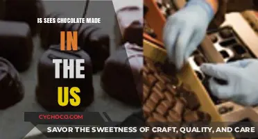 Exploring the Sweet Side: Is Chocolate Made in the US?