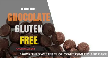 Decoding the Myth: Is Semi-Sweet Chocolate Really Gluten-Free?