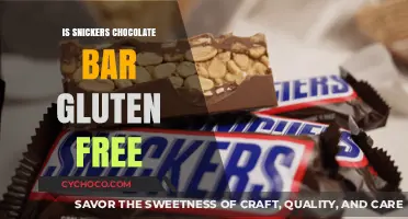 Exploring the Ingredients: Is Your Snickers Bar Gluten-Free?