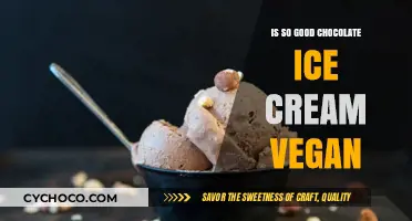 Indulge in Delicious Vegan Chocolate Ice Cream: A Guilt-Free Treat!