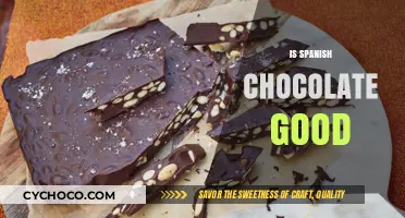 Exploring the Richness: Is Spanish Chocolate Worth the Hype?