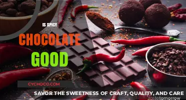 Exploring the Unique Fusion: Is Spicy Chocolate a Taste Sensation?