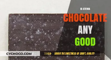 Exploring the Sweetness: Is Stevia Chocolate Worth the Hype?