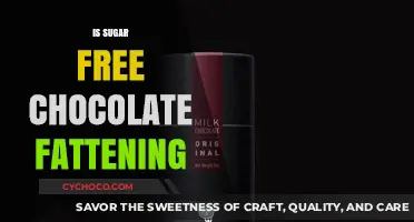 Debunking Myths: The Truth About Sugar-Free Chocolate and Weight Gain