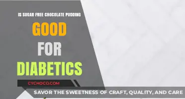 Sweet Treats for Diabetics: The Truth About Sugar-Free Chocolate Pudding