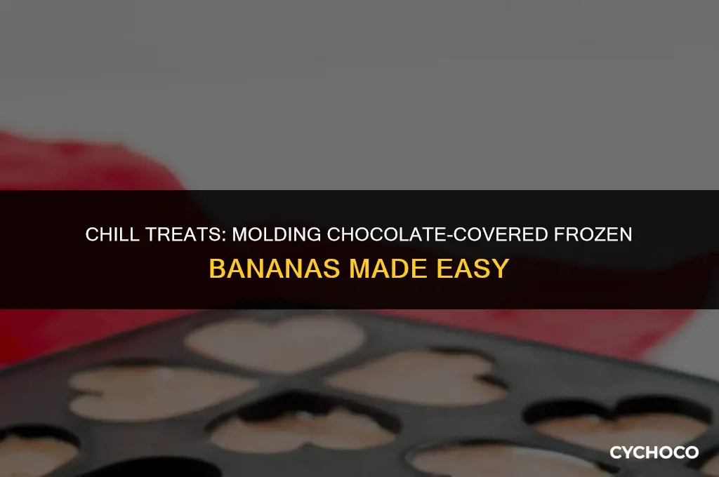is the a molding for making chocolate covered frozen bananas