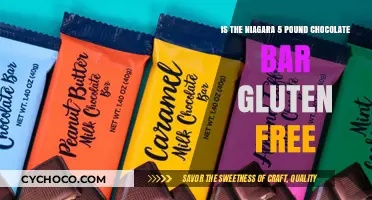 Indulge Worry-Free: Niagara's 5-Pound Chocolate Bar and Gluten Sensitivity