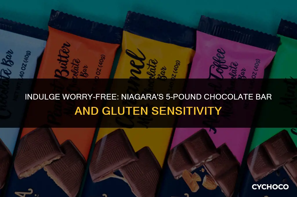 is the niagara 5 pound chocolate bar gluten free