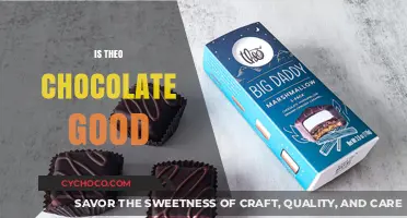 Indulge in Decadence: Is Theo Chocolate Worth the Hype?