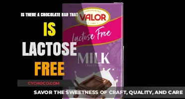 Indulge in Lactose-Free Bliss: The Ultimate Chocolate Bar Guide