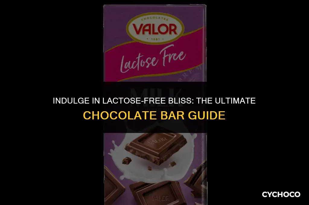 is there a chocolate bar that is lactose free