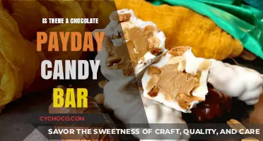 Sweet Mystery: The Quest for the Chocolate Payday Candy Bar