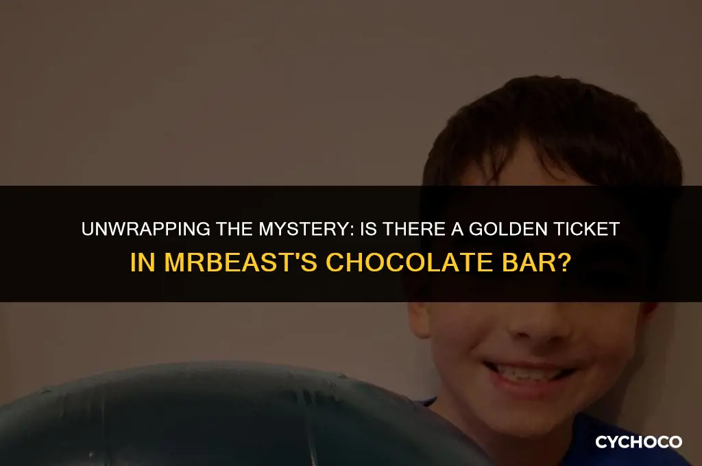 is there a golden ticket in mrbeast chocolate bar
