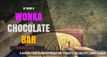 Unwrapping the Mystery: Is There a Wonka Chocolate Bar?