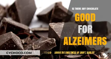 Exploring the Sweet Side of Memory: Chocolates and Alzheimer's