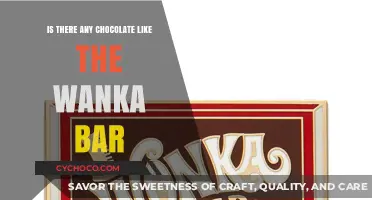 Exploring the Unique World of Chocolate: Is There Anything Like the Wonka Bar?