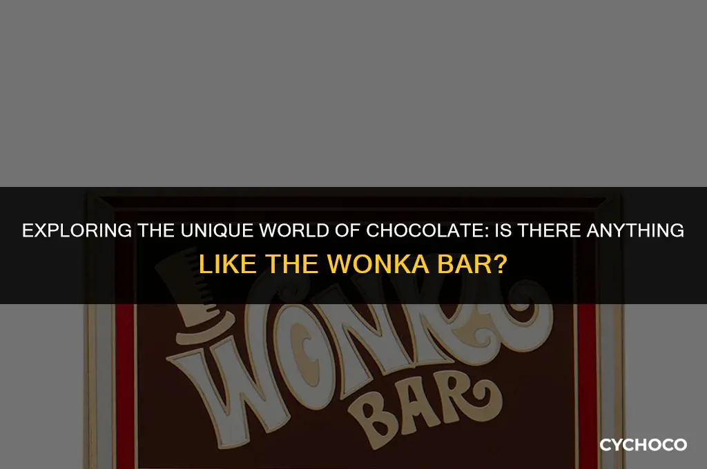 is there any chocolate like the wanka bar