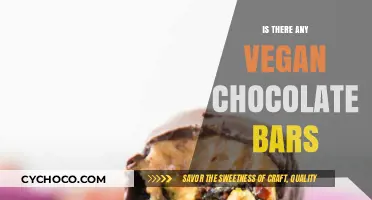Indulge in Compassion: The Best Vegan Chocolate Bars Unveiled