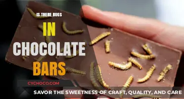 Unsweetened Truth: The Hidden Critters in Your Chocolate Bars