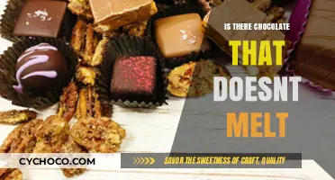 Discovering Heat-Resistant Chocolate: Does Melt-Proof Chocolate Exist?