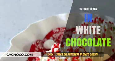 Unveiling the Mystery: Does White Chocolate Contain Cocoa?