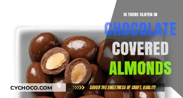 Decoding the Ingredients: Are Chocolate-Covered Almonds Gluten-Free?