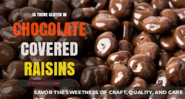 Decoding the Ingredients: Are Chocolate-Covered Raisins Gluten-Free?