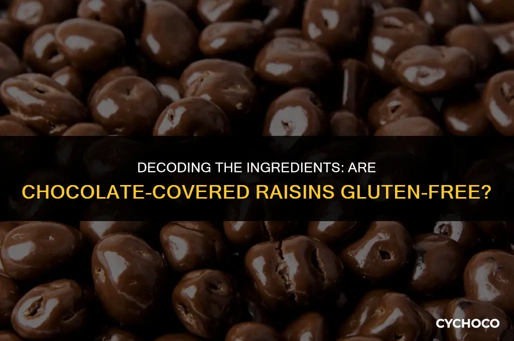 is there gluten in chocolate covered raisins