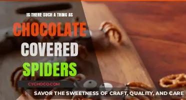 Sweet or Creepy? The Truth About Chocolate-Covered Spiders